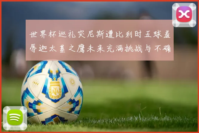 世界杯巡礼突尼斯遭比利时五球羞辱迦太基之鹰未来充满挑战与不确定性