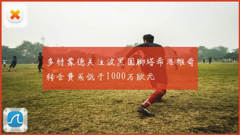 多特蒙德关注波黑国脚塔希洛维奇转会费或低于1000万欧元